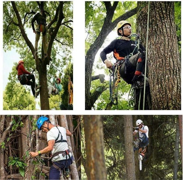 Професійний набір TreeClimb PRO: сталеві когті (гаффи) та страховочний пояс ZB-TCP-ALLIN1 фото